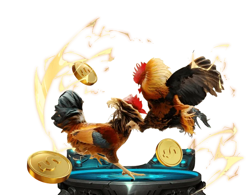 Mẹo cá cược có trách nhiệm tại EE88